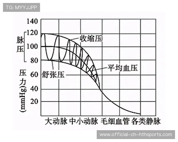 青少年运动员“成长曲线”大数据全面监测体系启动